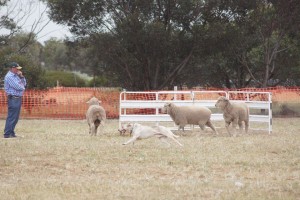 Strathalbyn