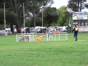 2014 Supremes Strathalbyn