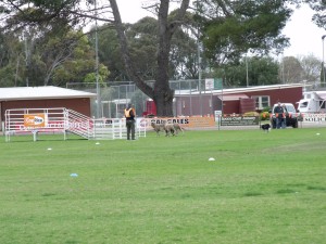 2014 Supremes Strathalbyn