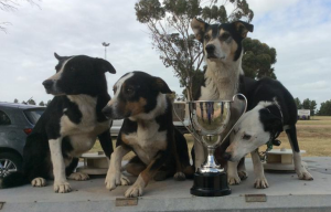 NZ Dogs with trophy
